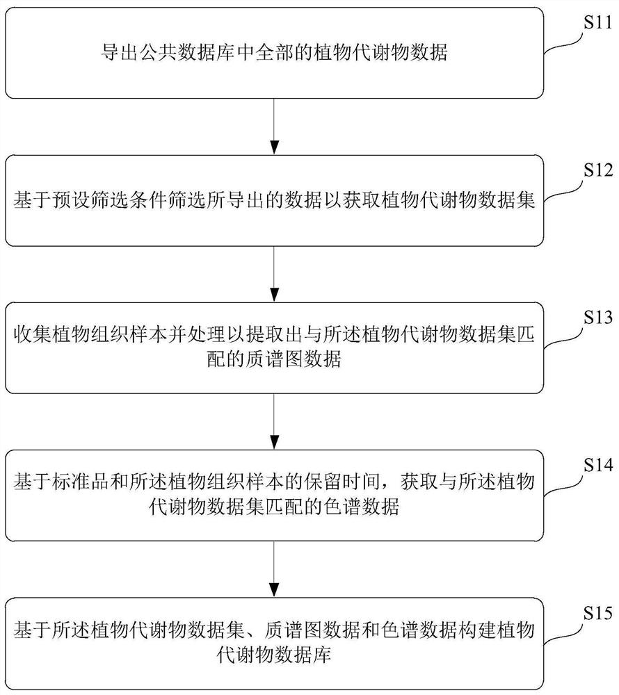 Construction method and device of plant metabolite database, medium and terminal
