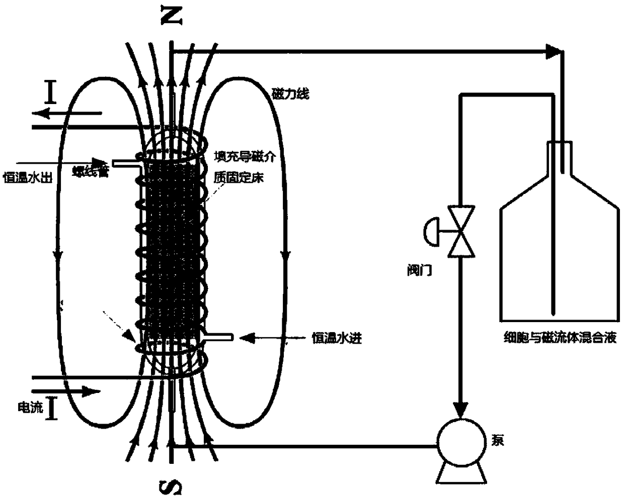 Method for rapidly immobilizing cells through magnetic fixed bed