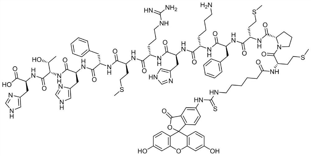 Fluorescent probe for detecting ochratoxin A and preparation method thereof