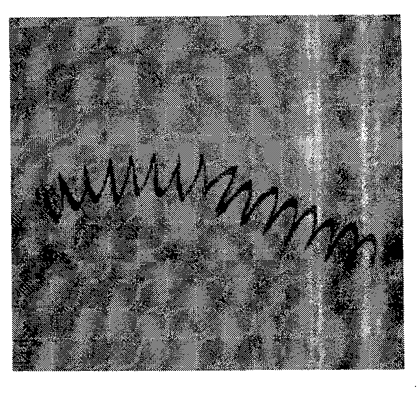 Method for preparing magnetized oil emulsion for promoting cooling lubrication function