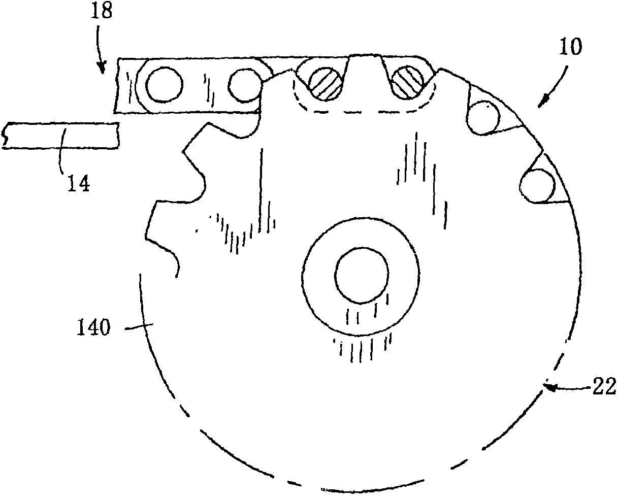 Chain and flight conveyor assembly