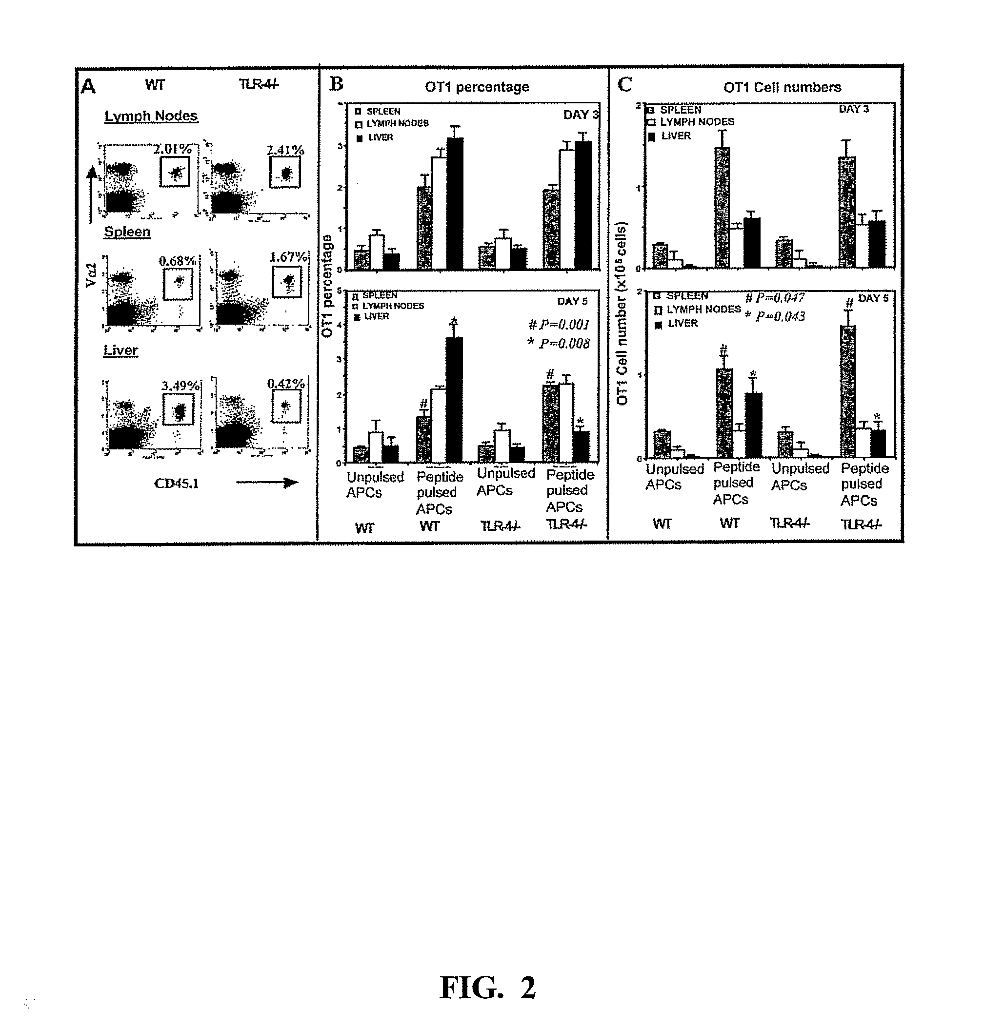 Methods and compositions for enhancing immune memory by blocking intrahepatic activated t cell deletion