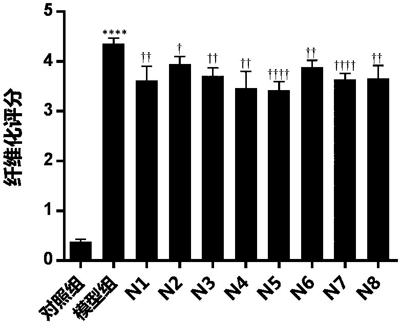 Application of polypeptide, polypeptide fragments and derivatives thereof in the prevention and treatment of fibrotic diseases