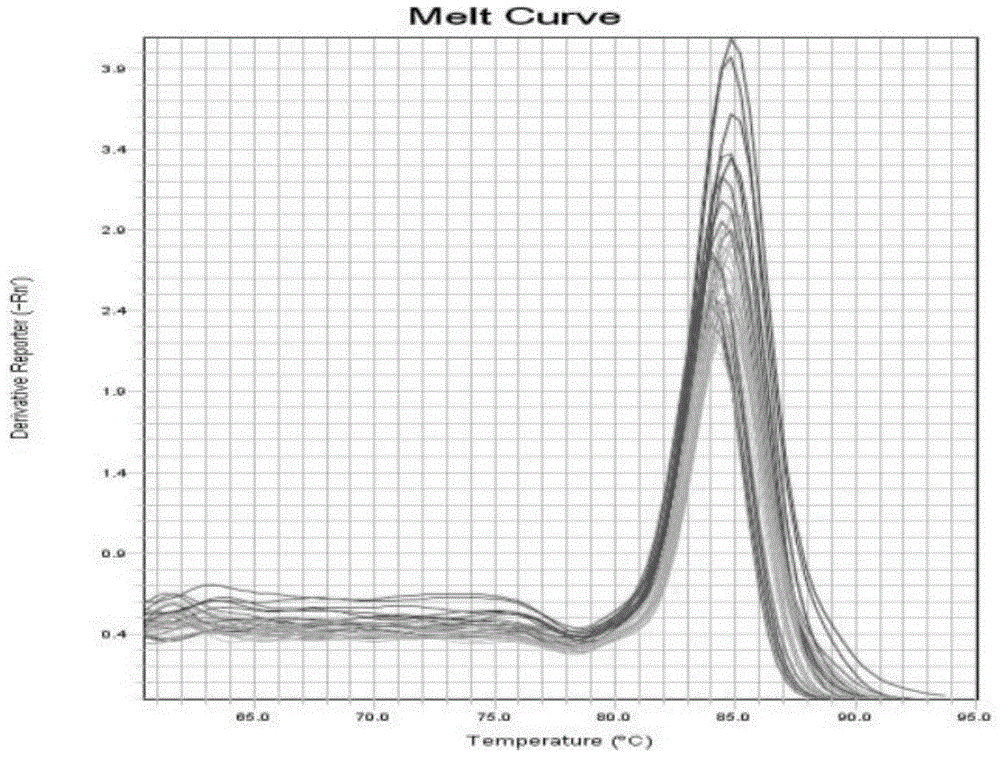 Circular RNA-met gene in liver cancer and its preparation method and fluorescent quantitative PCR detection method