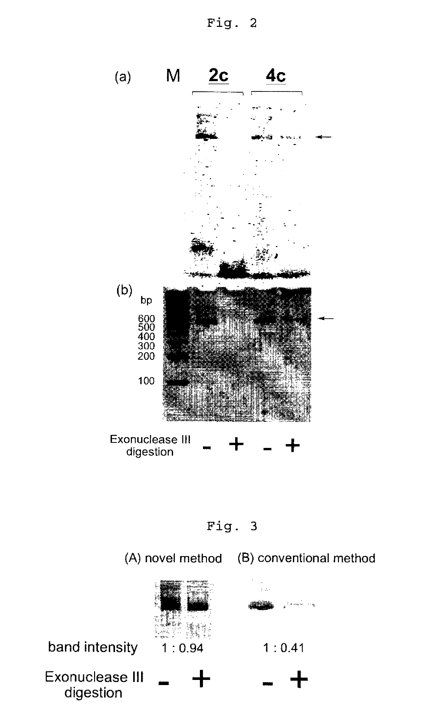 Efficient process for producing dumbbell DNA