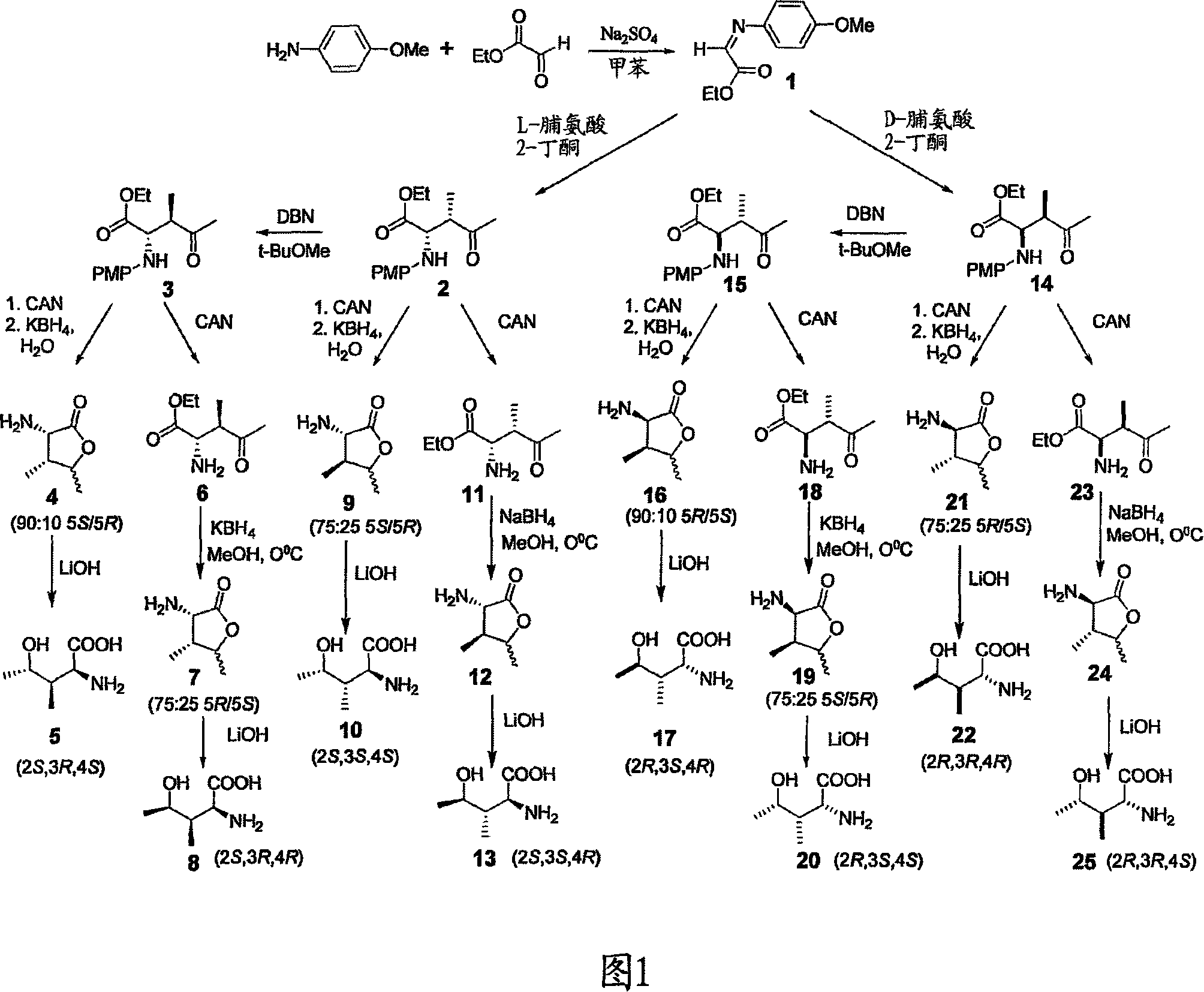 Diastereoisomers of 4-hydroxyisoleucine and uses thereof