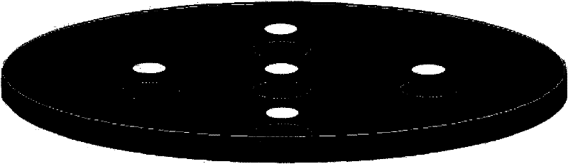 Device for root-leave undamaged separation culture of ocean-land submerged plants and method