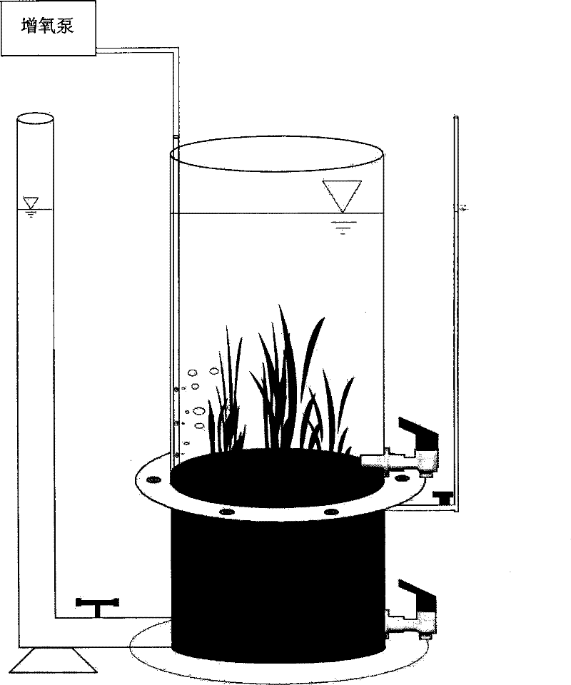 Device for root-leave undamaged separation culture of ocean-land submerged plants and method