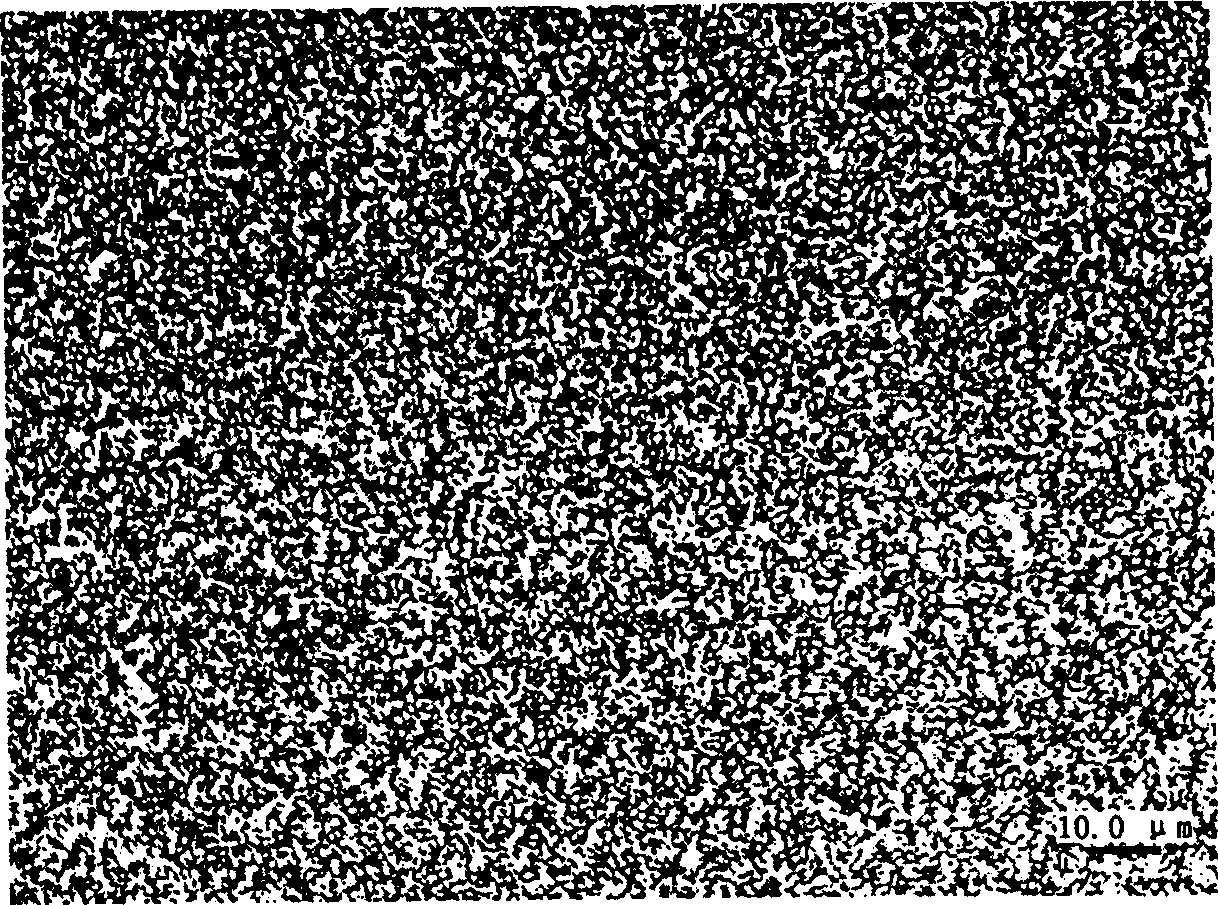 Method for preparing electroformed nickel metallographic sample and displaying constitution