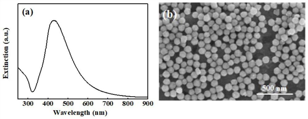 Silver nanoparticle-rare earth doped fluorescent material composite system for modulating solar spectrum and preparation method thereof