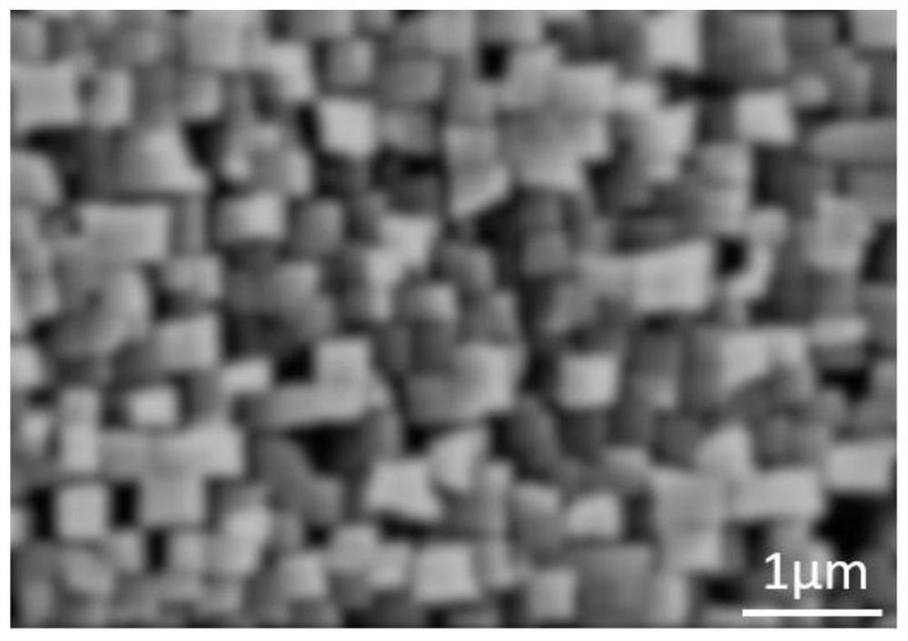 Heat treatment method of single crystal nickel-based superalloy after cold deformation