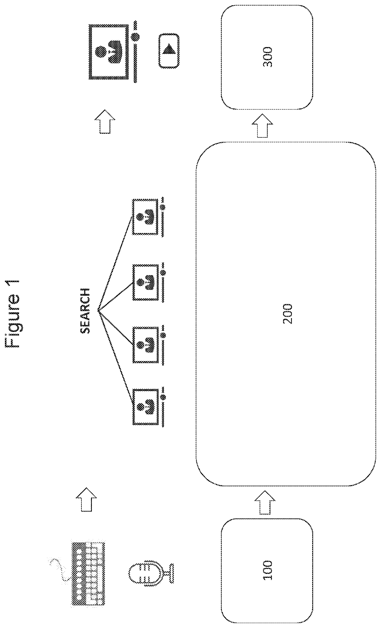 Interactive systems and methods