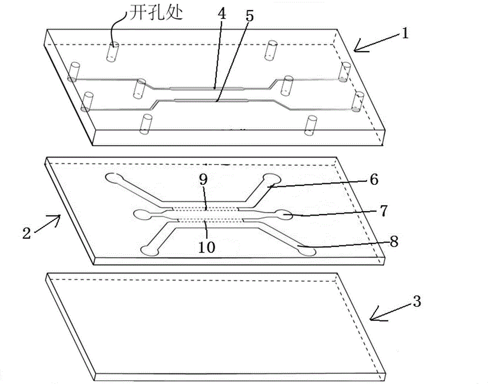 Multifunctional micro-fluidic chip for cell migration and invasion assay