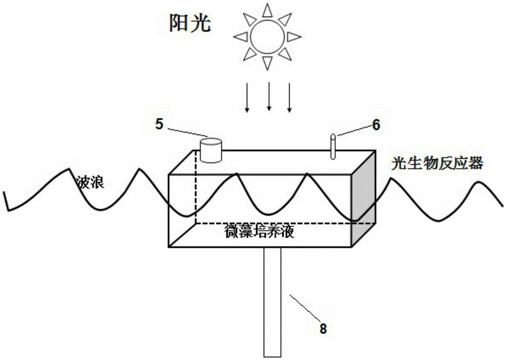 Microalgae culture system, cavity type photobioreactor and microalgae culture method