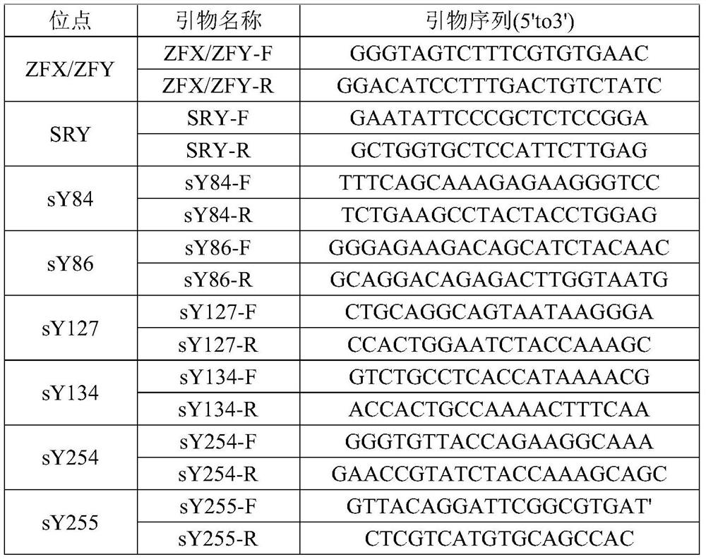 Amplification composition and kit for detection of y chromosome microdeletion