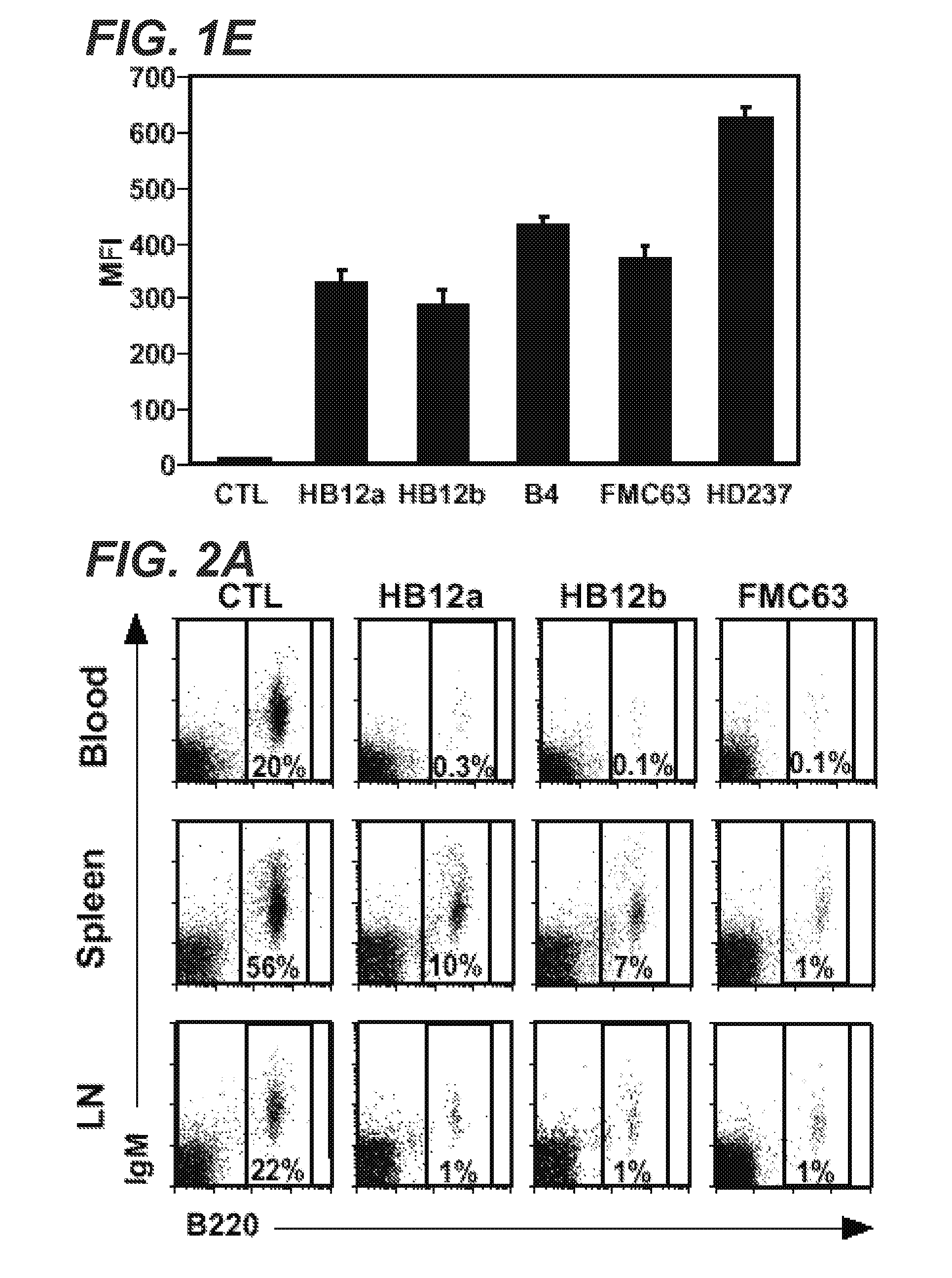 Anti-cd19 antibodies and uses in b cell disorders