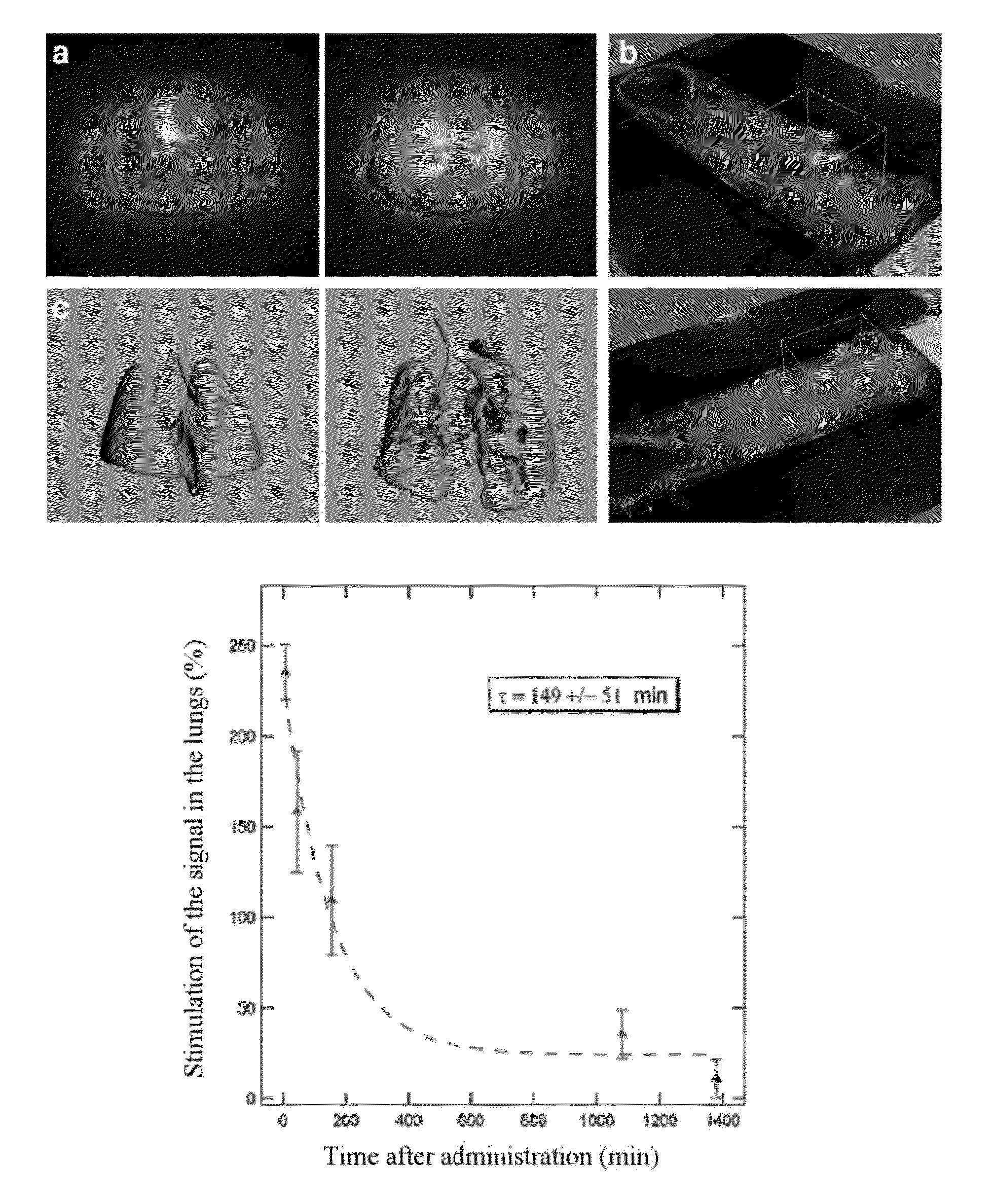 Ultrafine nanoparticles as multimodal contrast agent