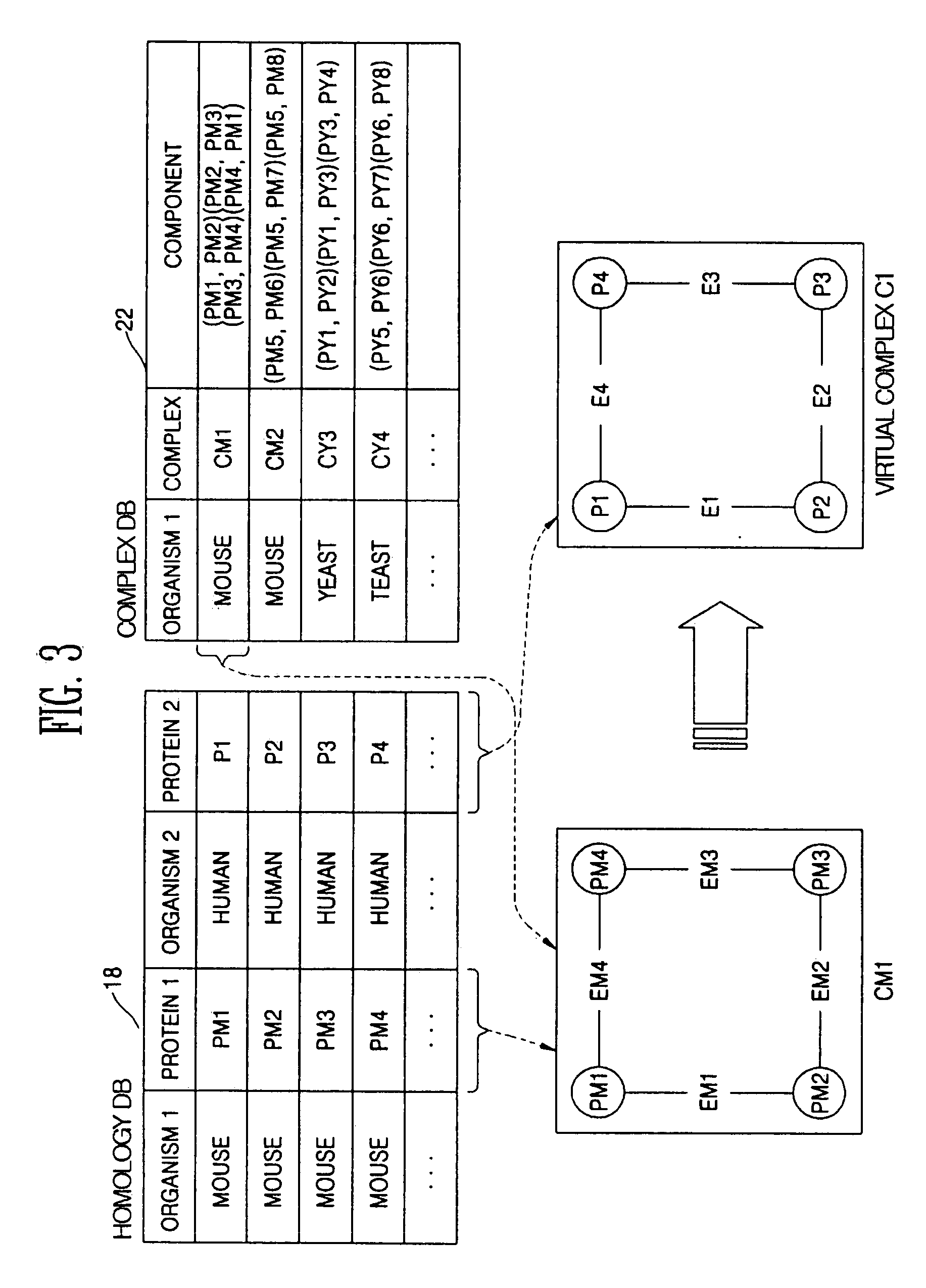 Method and apparatus for homology-based complex detection in a protein-protein interaction network