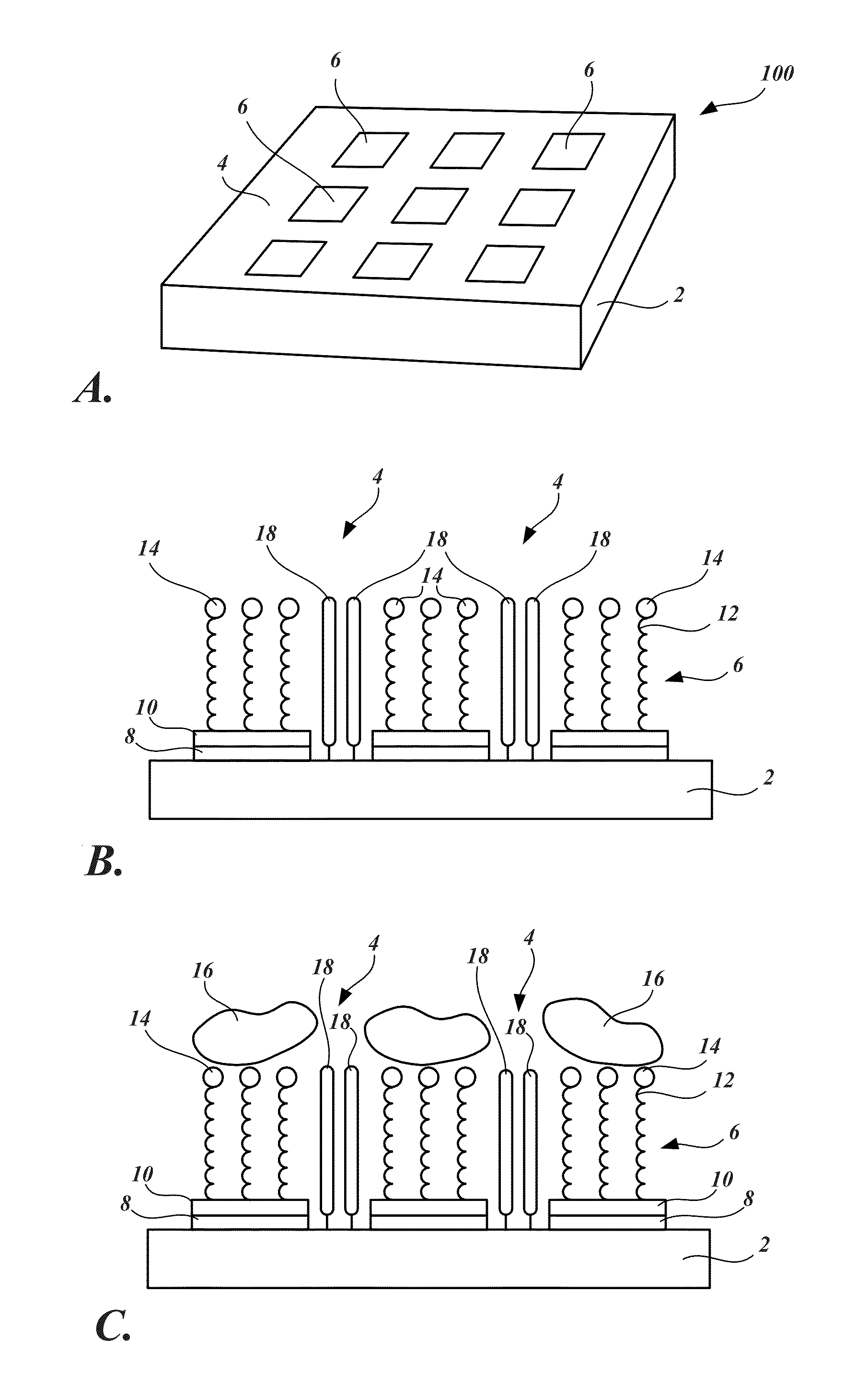 Arrays and methods for guided cell patterning