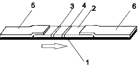 Colistin colloidal gold detection kit and application thereof