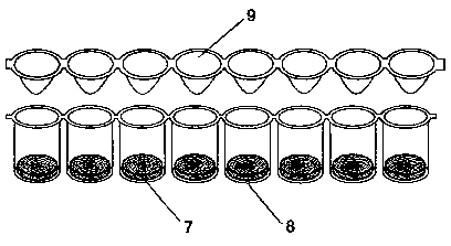 Colistin colloidal gold detection kit and application thereof