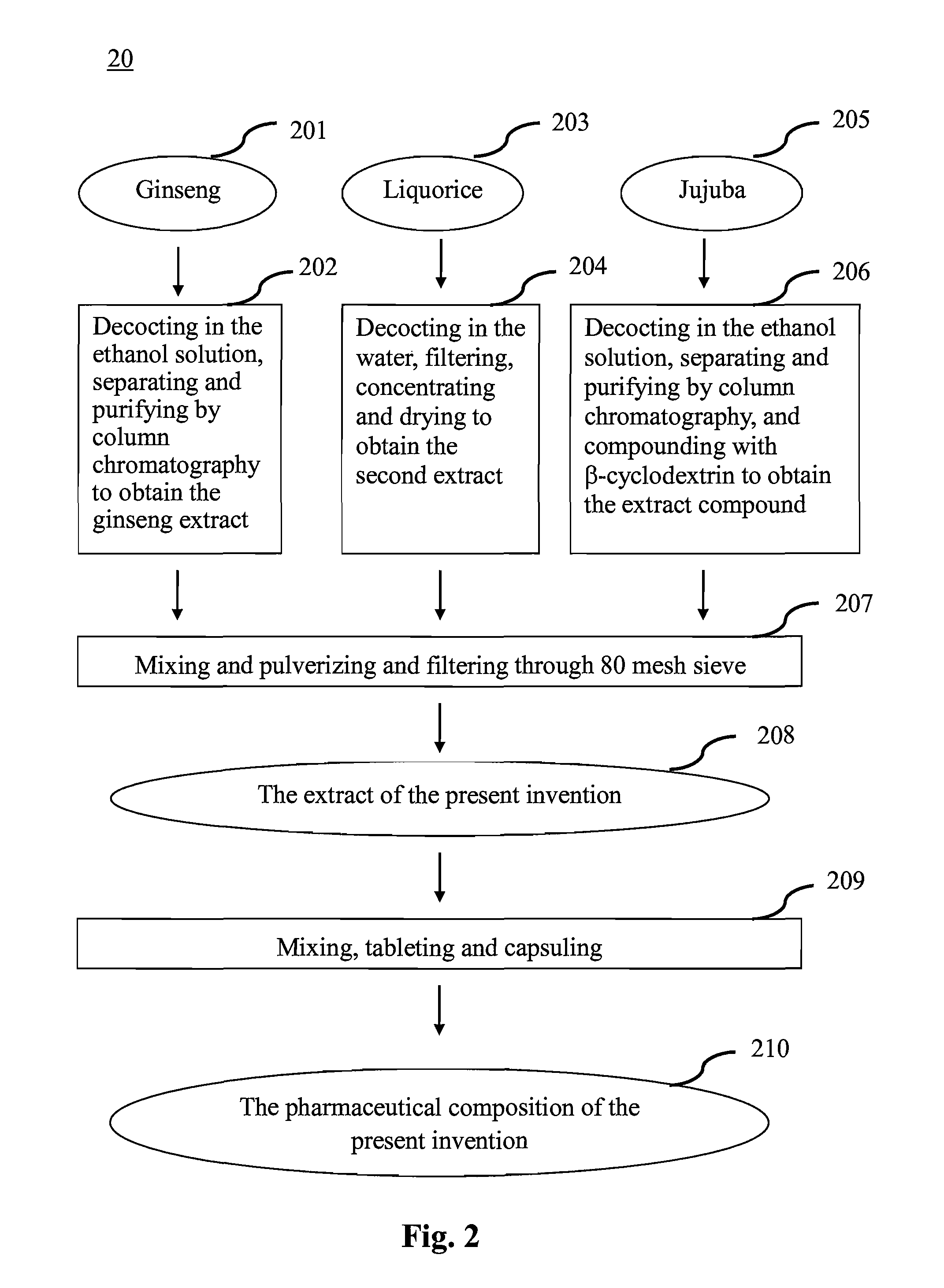 Pharmaceutical compositoin for treating depression and method for preparation thereof