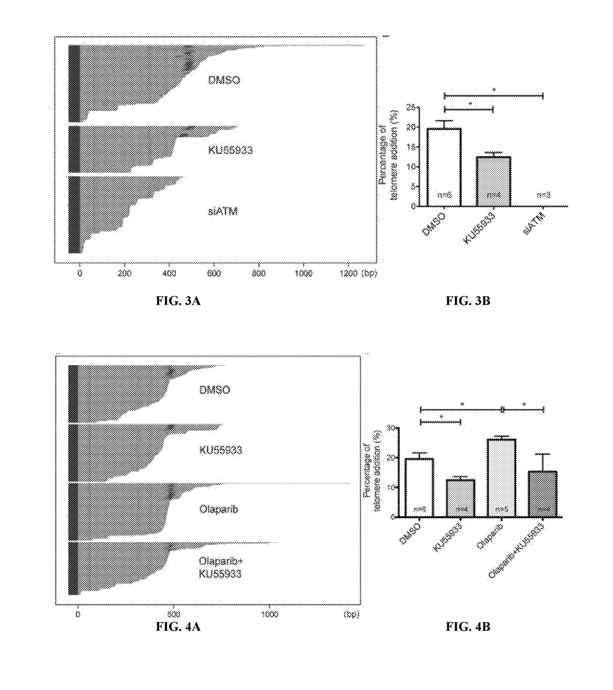 Method for regulation of telomere length