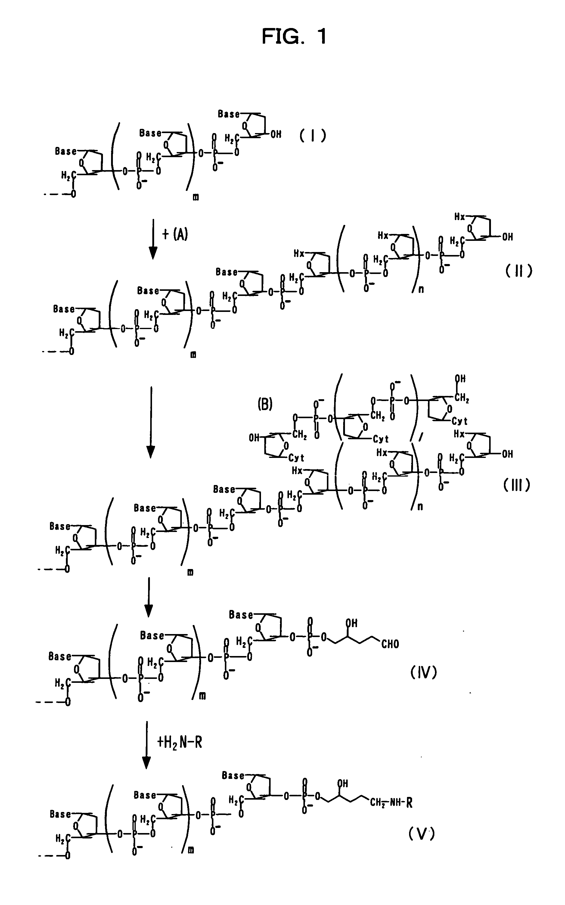 Method for modifying nucleotide chain