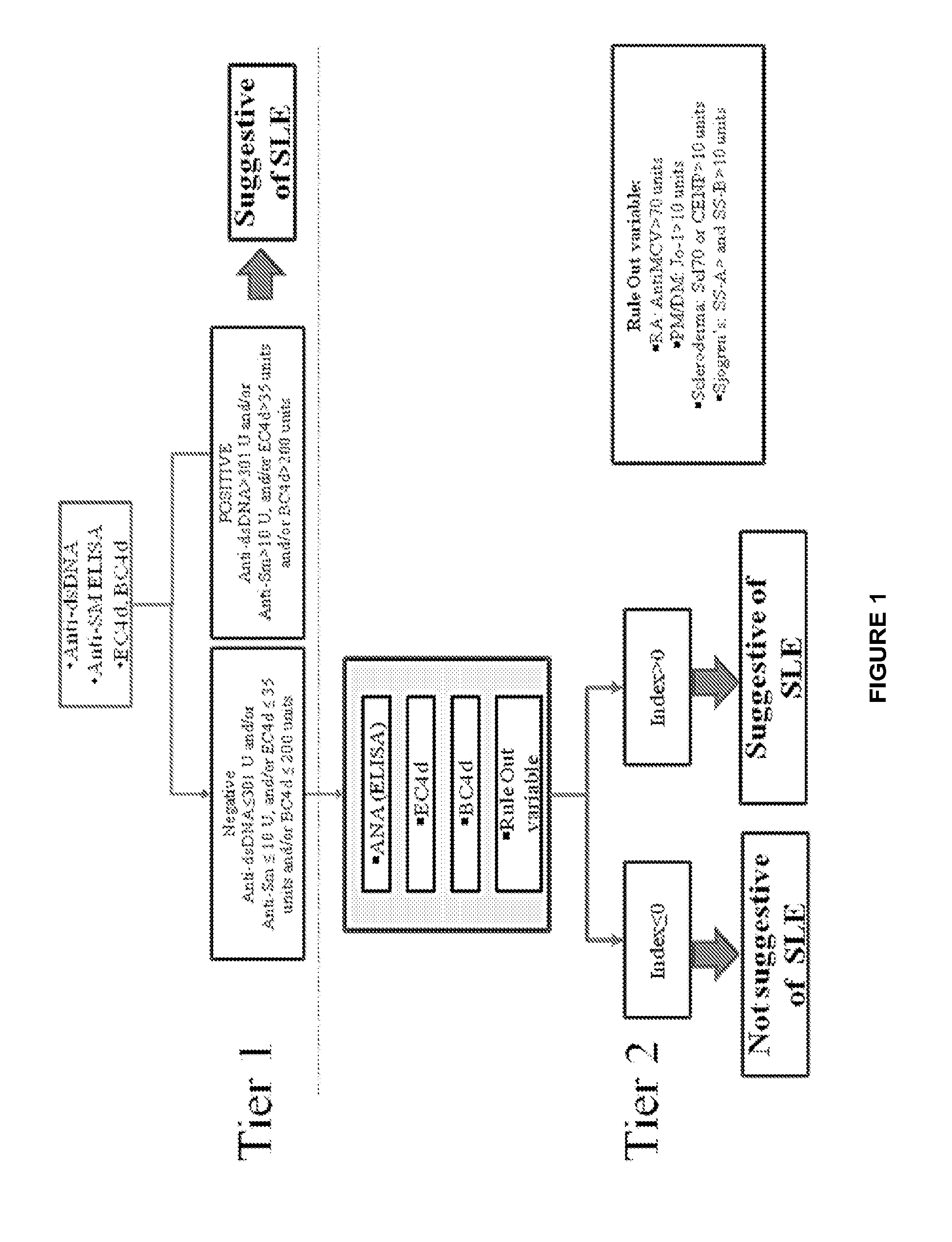 Methods for treating and diagnosing Systemic Lupus Erythematosus