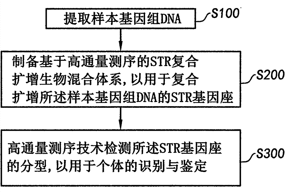 A system for high-throughput testing str typing and its detection method