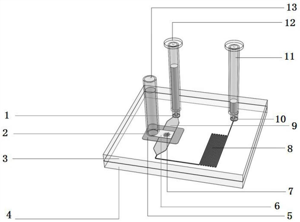 In-vitro pump-free tissue culture chip based on microfluidic technology