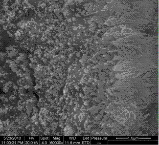 SiO2: RE light-emitting film taking TiO2 nanotube array as carrier and preparation method thereof