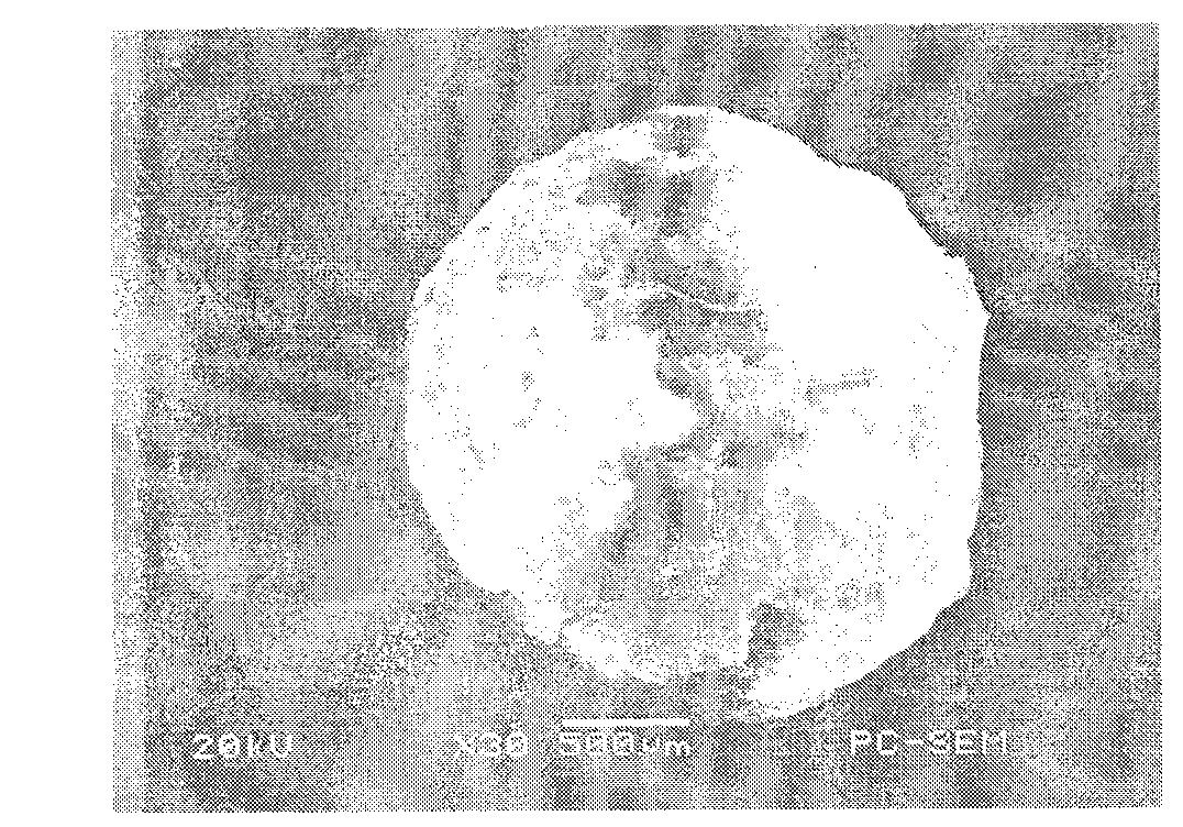 Preparation method of cohesive composite microsphere porous scaffolds