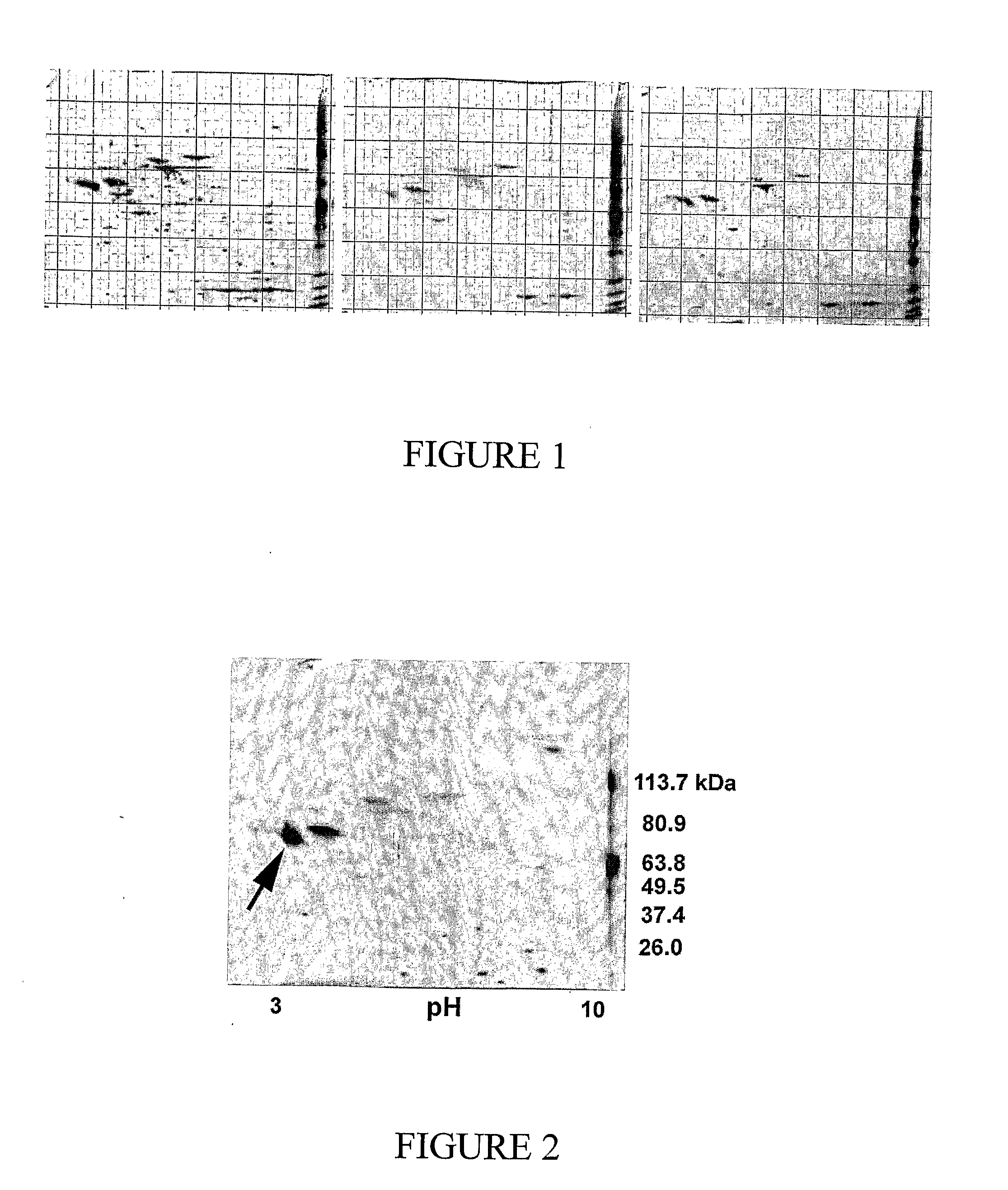 Method of treatment