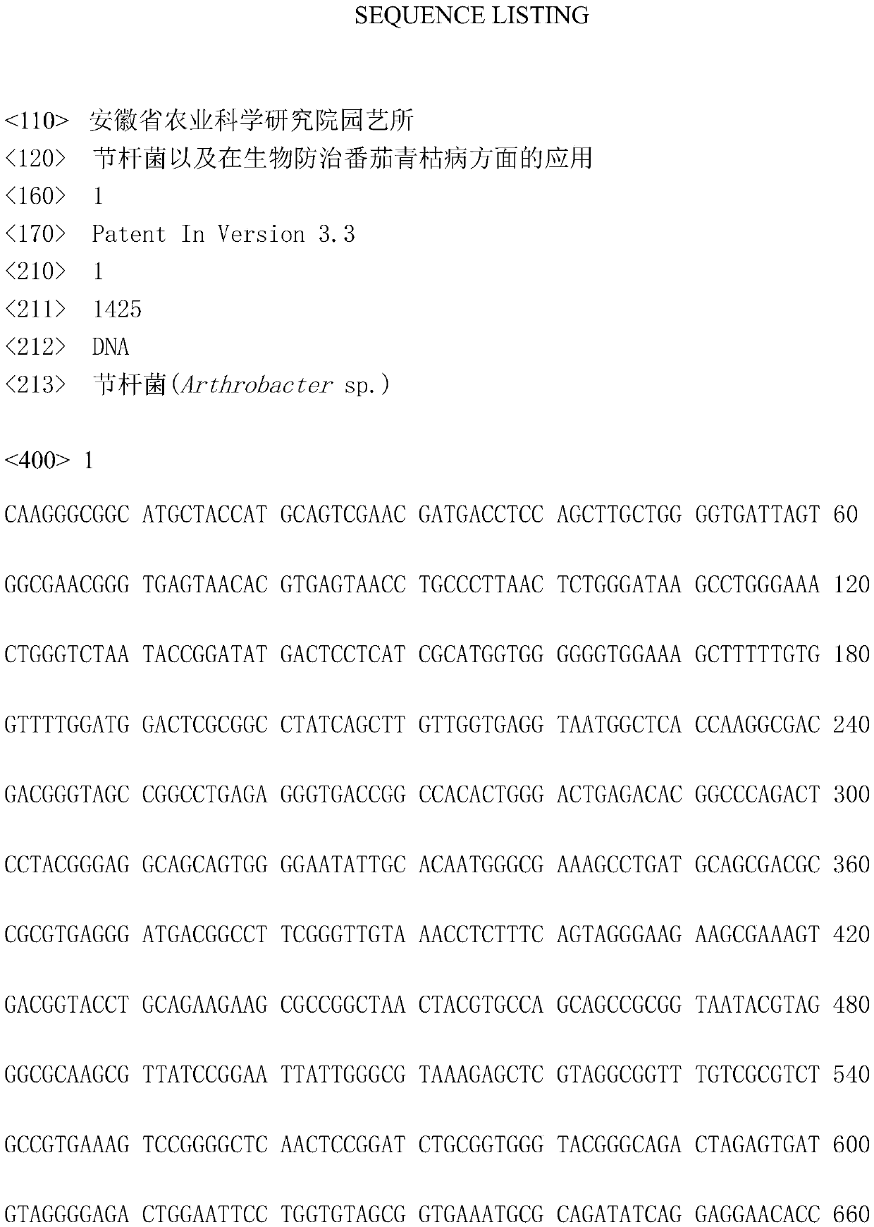 A kind of Arthrobacter and its application in biological control of tomato bacterial wilt