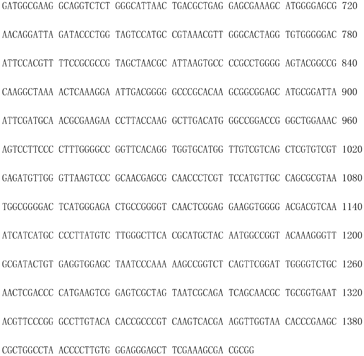 A kind of Arthrobacter and its application in biological control of tomato bacterial wilt