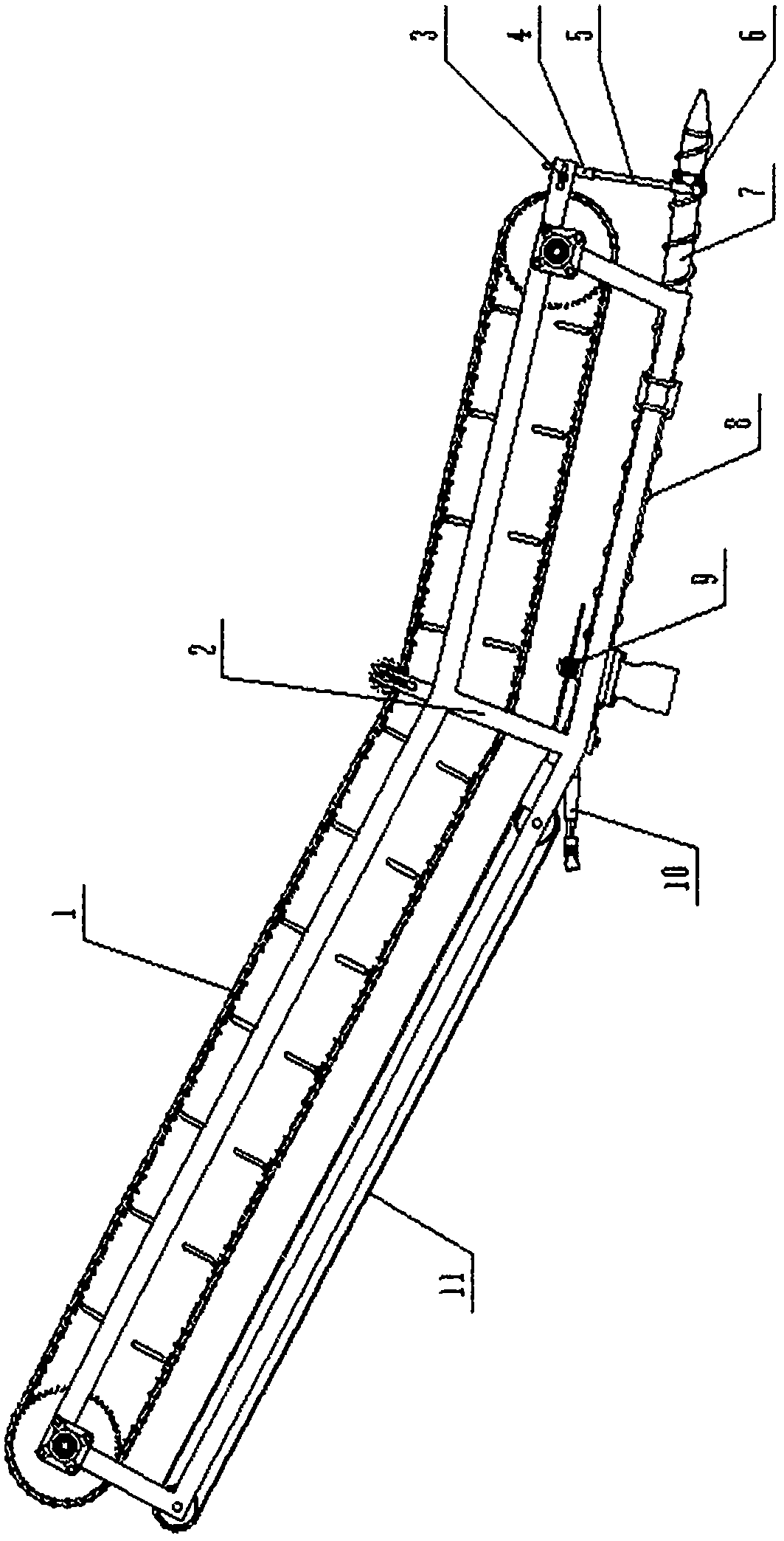 Cabbage harvesting and conveying table