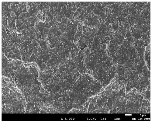 A kind of mesophase pitch-based graphite fiber/polypropylene composite material and preparation method thereof