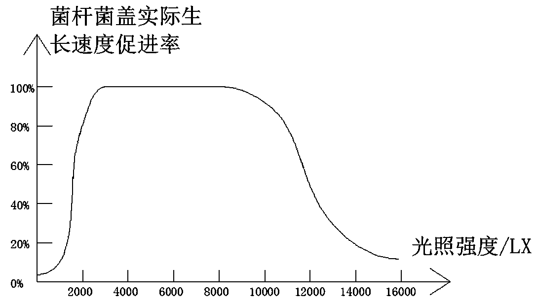 Ganoderma lucidum cultivation method