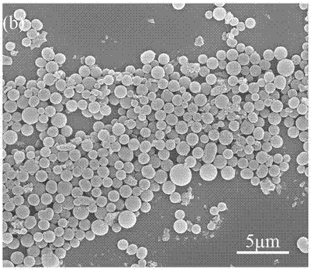 A preparation method of high specific surface area carbon microspheres based on Camellia oleifera seed shell