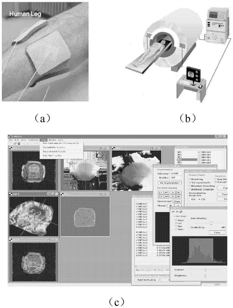 Microscopic electrical impedance imaging device and method based on diamond nv color center