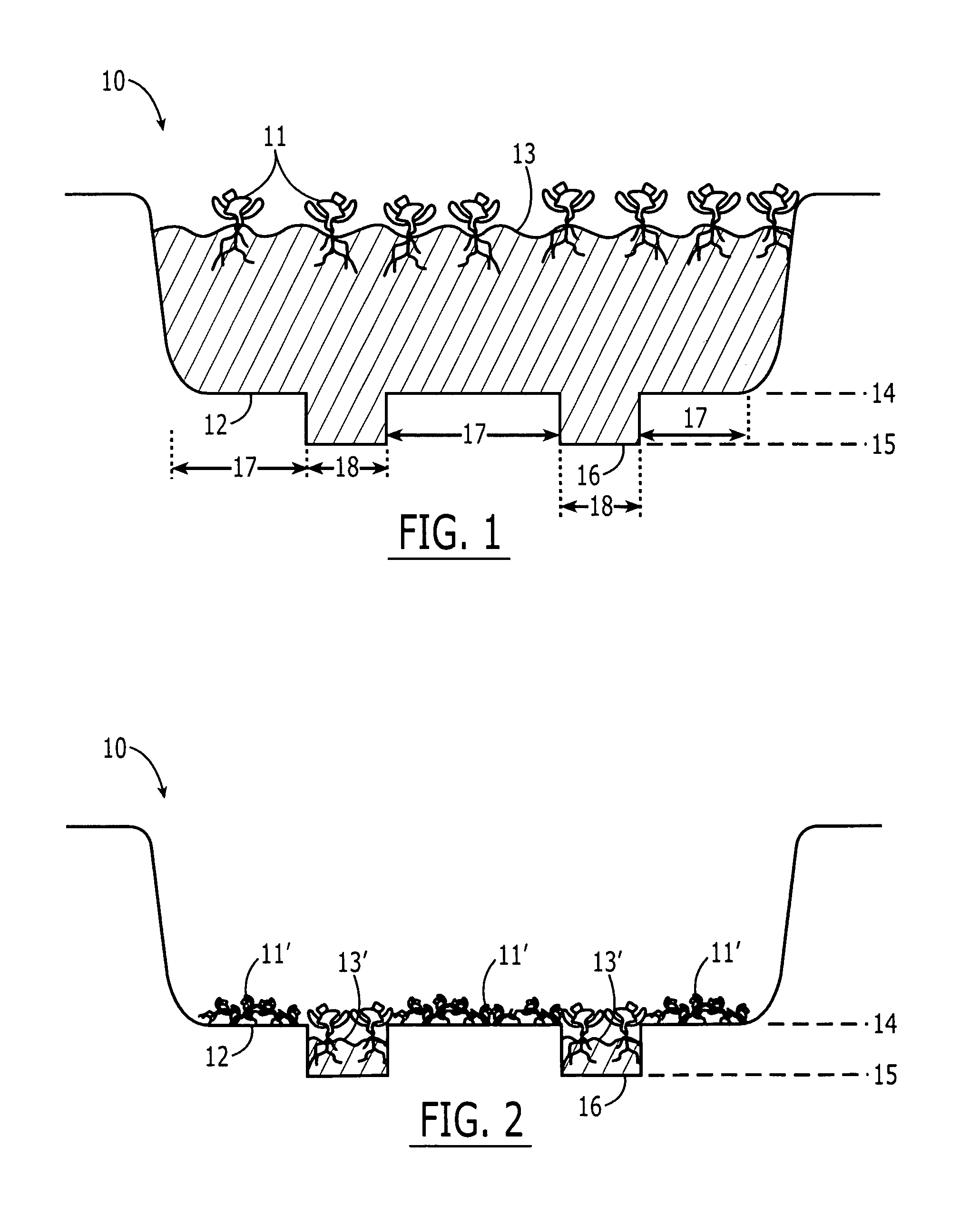 Plant biomass management system and method