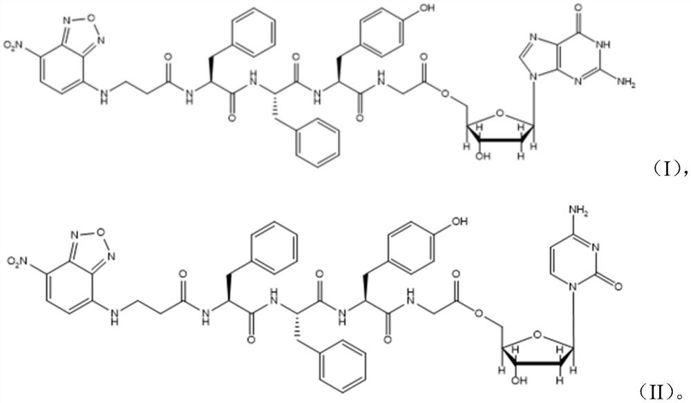 Supramolecular hydrogel and preparation method thereof