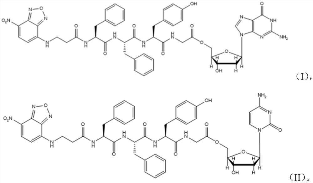 Supramolecular hydrogel and preparation method thereof