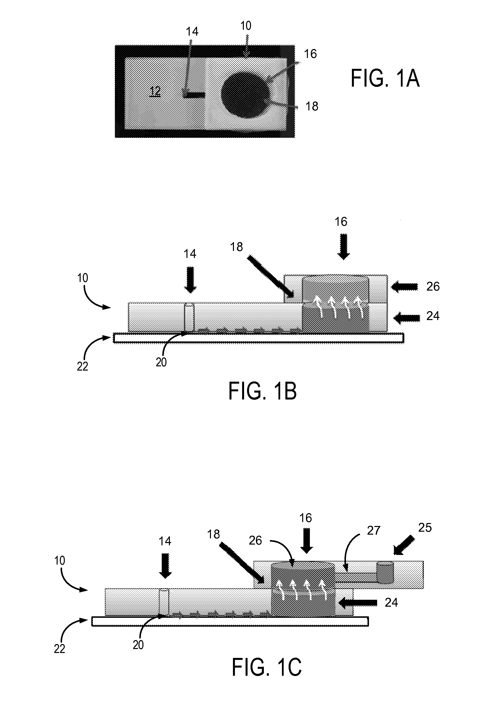 System and method for sperm sorting