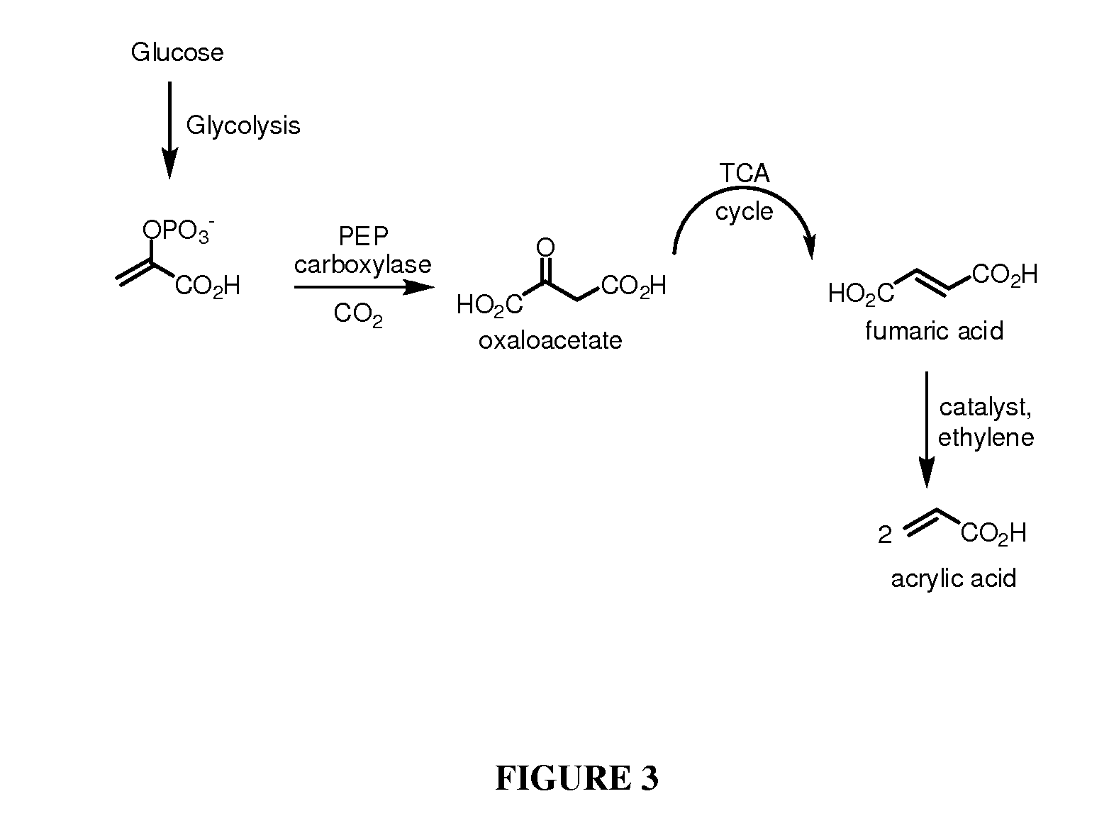 Methods for the synthesis of olefins and derivatives