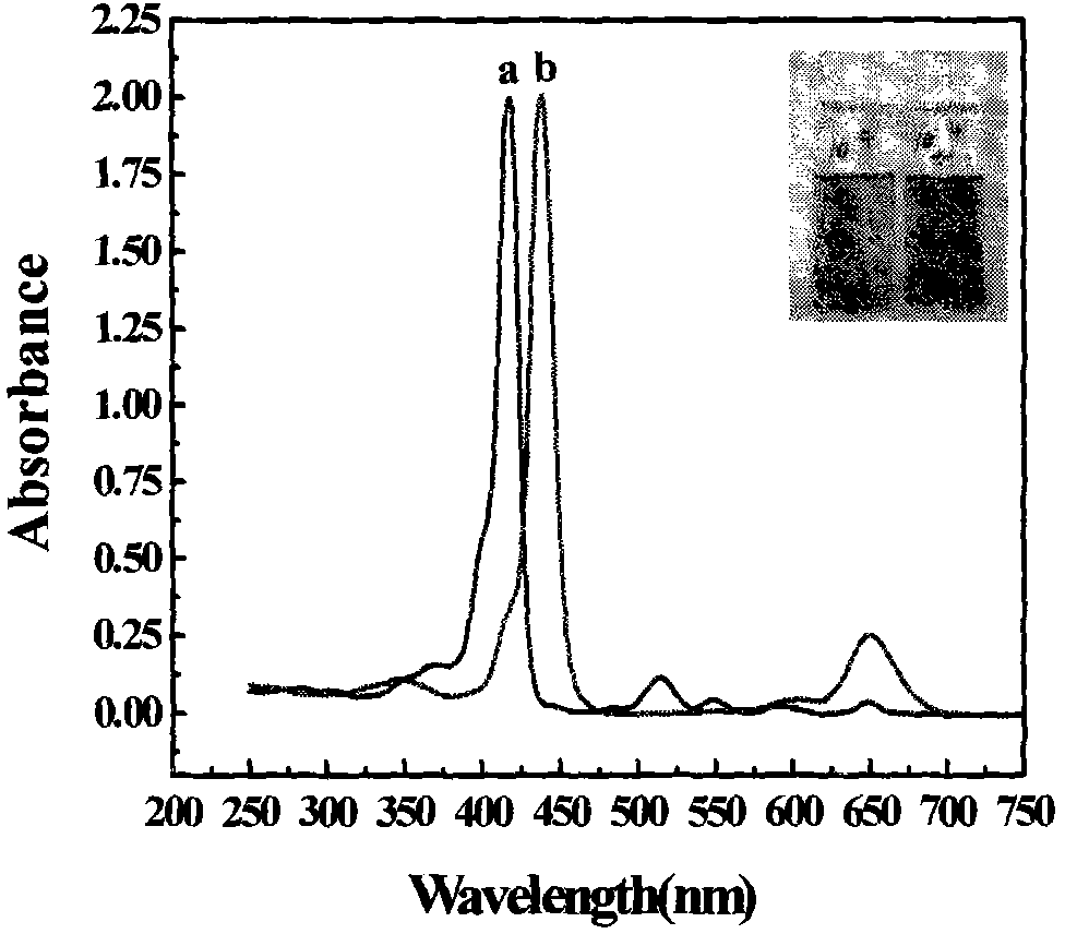 Porphyrin detection method based on self-assembly monomolecular film