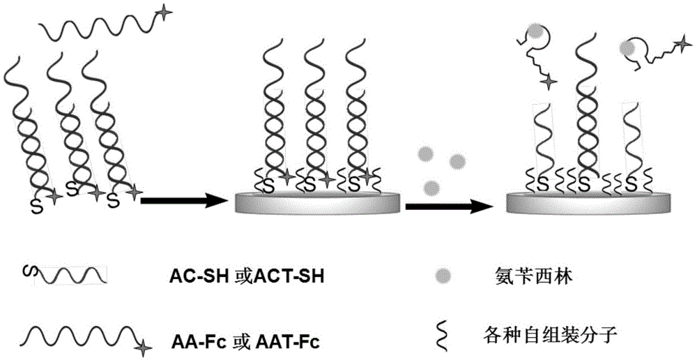 Forming method of ampicillin and sulfadimethoxine electrochemical sensor self-assembled passivation layer, and electrochemical sensor thereof