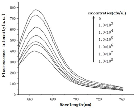 A method for the detection of Pseudomonas aeruginosa based on aptamer fluorescence sensing