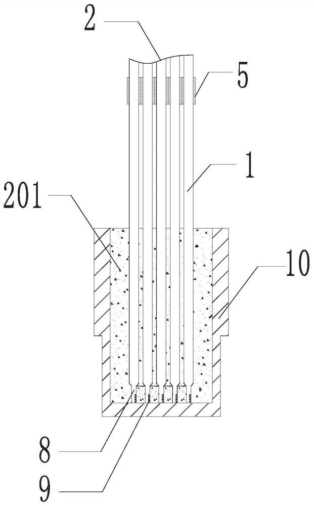 Hollow fiber curtain type membrane, membrane element and manufacturing method thereof
